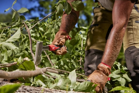 Топор и нож набор 2ед. (Арт. 4932499031)