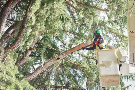 Акк. высоторез телескопический M18 FTPS30-121 GEN II [FORGE™] (замена для 4933480869) (Арт. 4933499227)