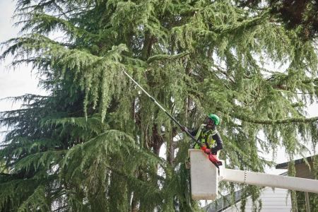 Акк. высоторез телескопический M18 FTPS30-121 GEN II [FORGE™] (замена для 4933480869) (Арт. 4933499227)