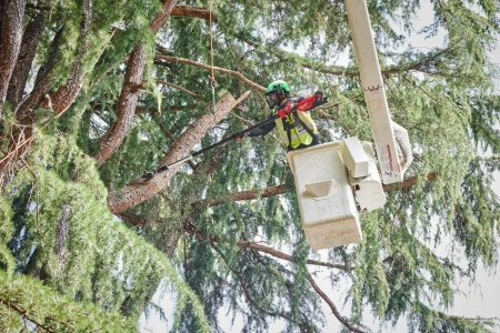 Акк. высоторез телескопический M18 FTPS30-121 GEN II [FORGE™] (замена для 4933480869) (Арт. 4933499227)